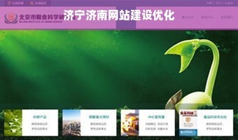 濟寧濟南網站建設優化